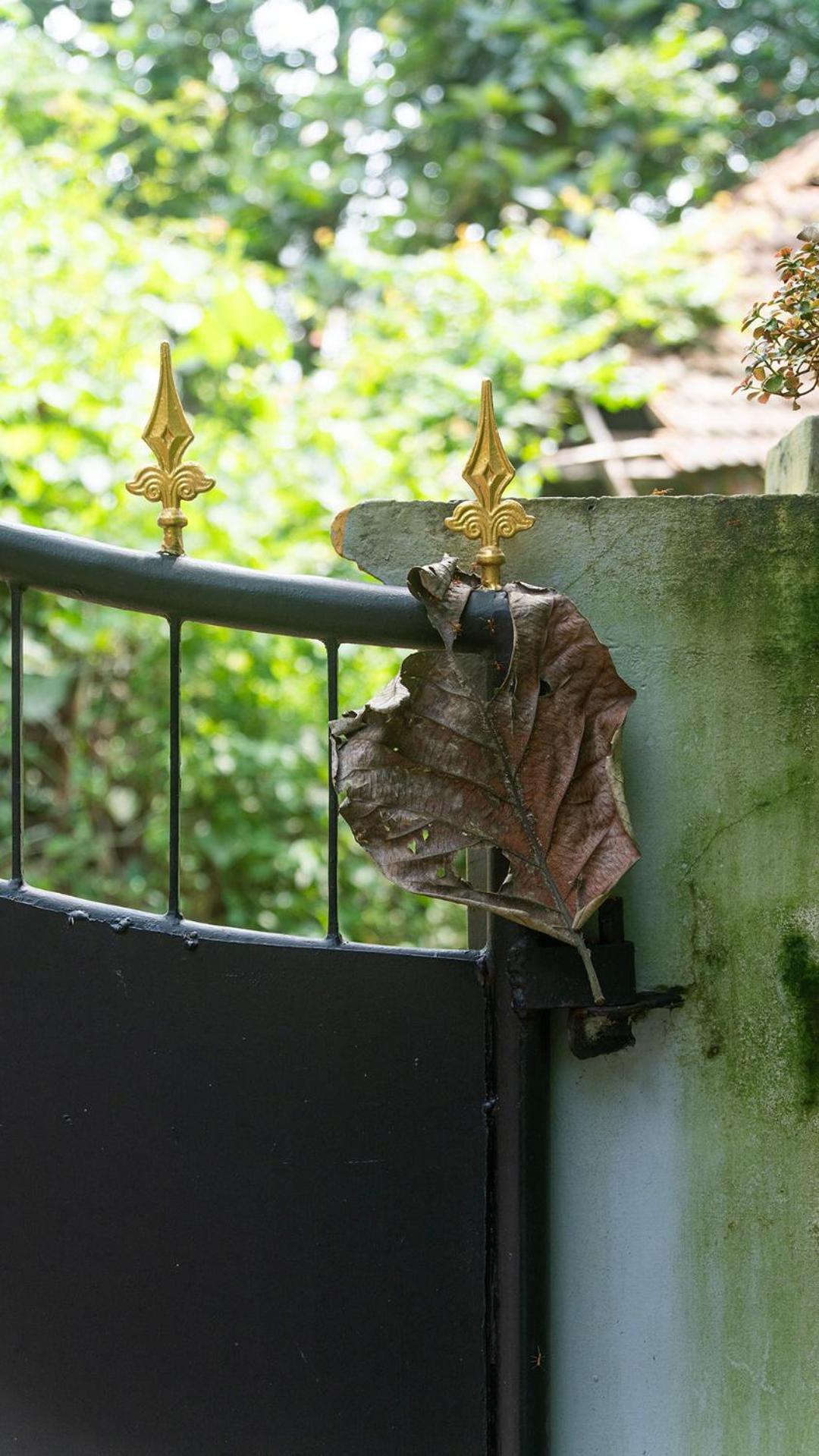 Soul Home Stay Varkala Exterior photo